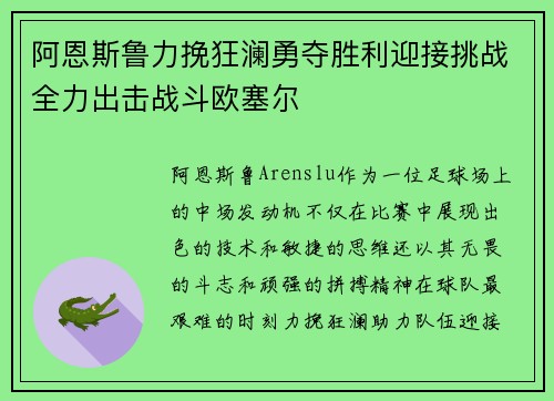 阿恩斯鲁力挽狂澜勇夺胜利迎接挑战全力出击战斗欧塞尔