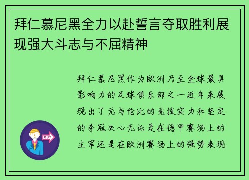 拜仁慕尼黑全力以赴誓言夺取胜利展现强大斗志与不屈精神