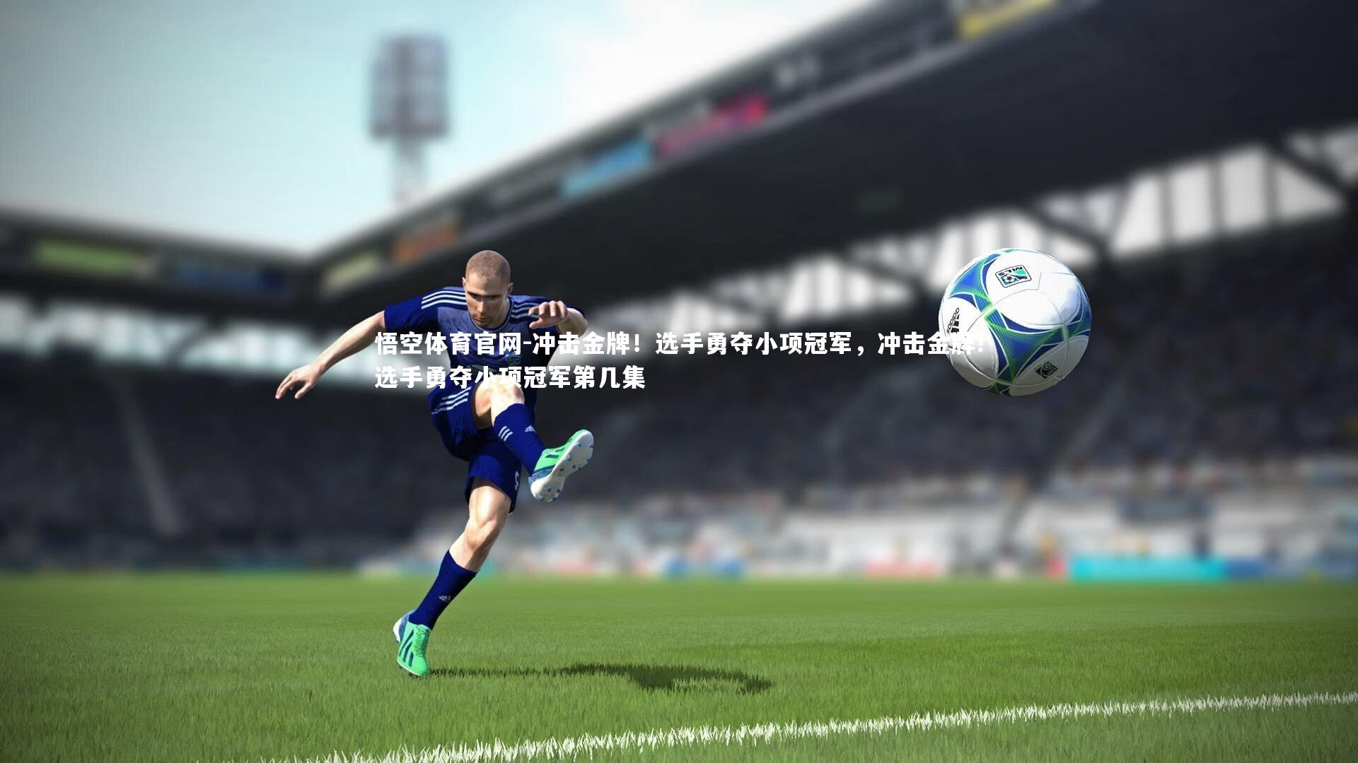 冲击金牌！选手勇夺小项冠军，冲击金牌!选手勇夺小项冠军第几集