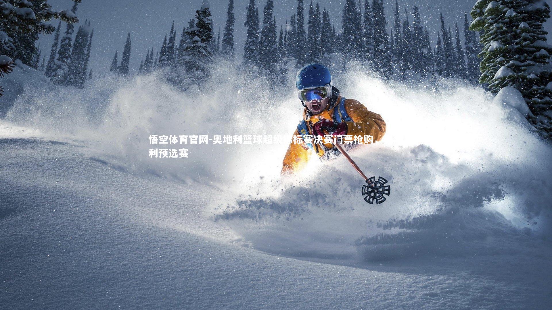 悟空体育官网-奥地利篮球超级锦标赛决赛门票抢购,奥地利预选赛